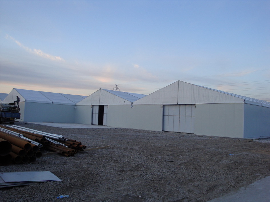 2411510540034401.jpg 805229405_764019499.jpg