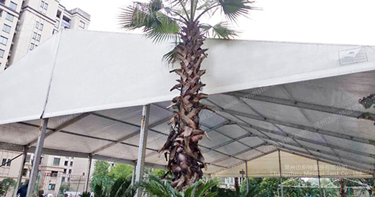 邁斯特游泳池篷房 邁斯特游泳池篷房