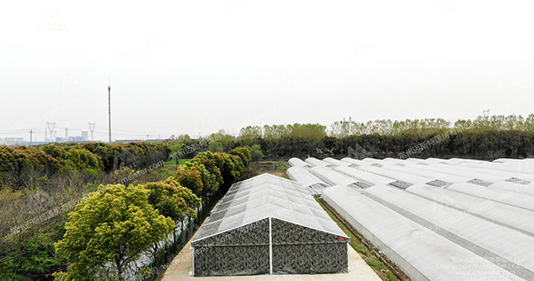 迷彩倉庫篷房 迷彩倉庫篷房